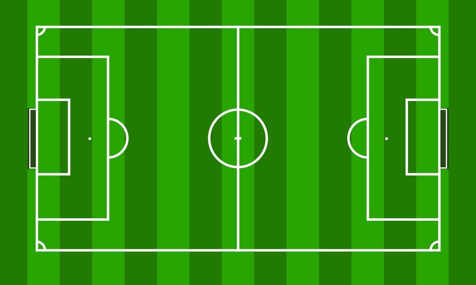 Soccer field in green grass stadium vector