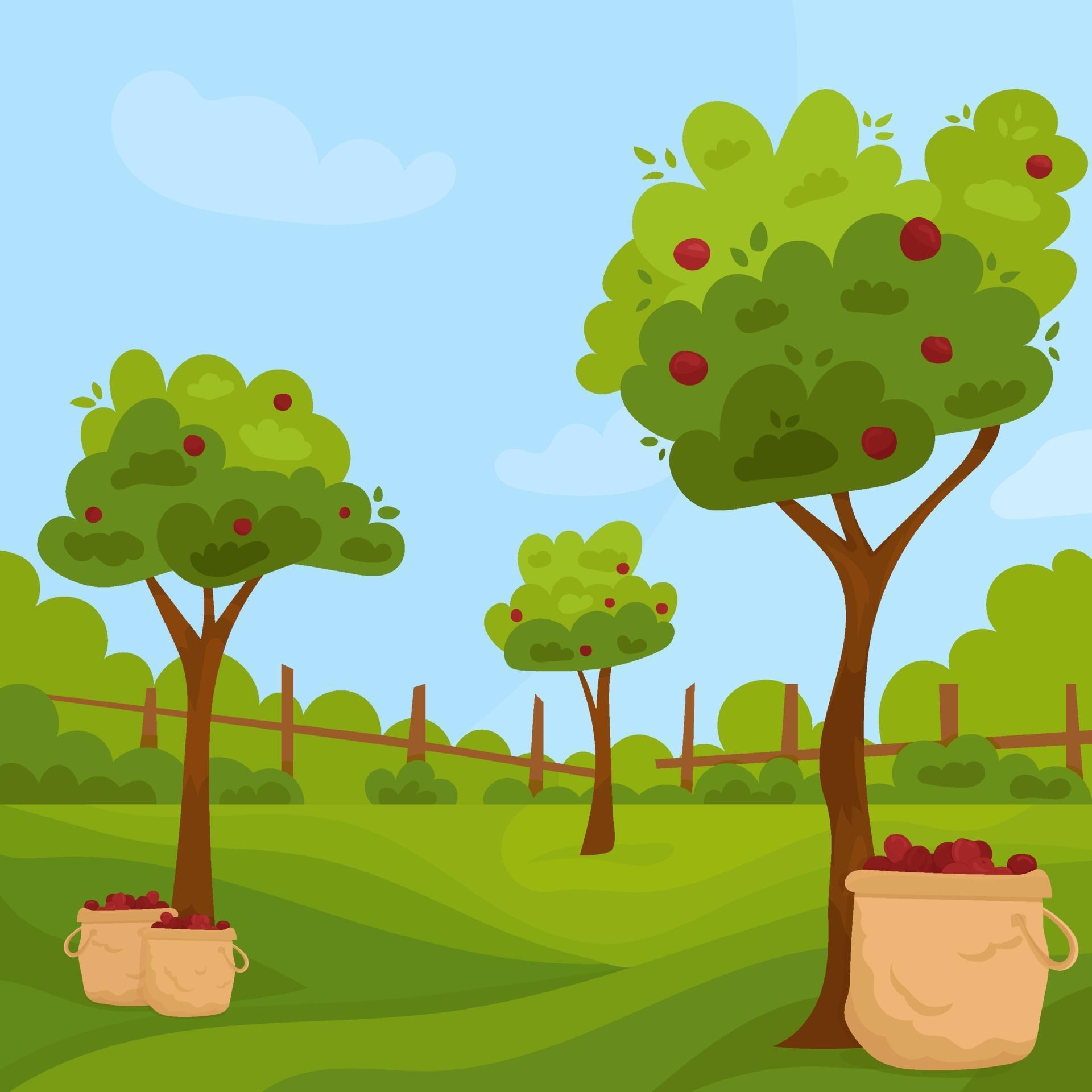 Apple tree harvest in orchard. Garden with apple trees 3185517 Vector