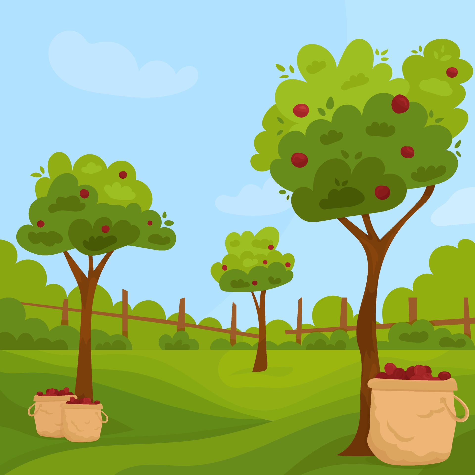 Apple tree harvest in orchard. Garden with apple trees 3185517 Vector