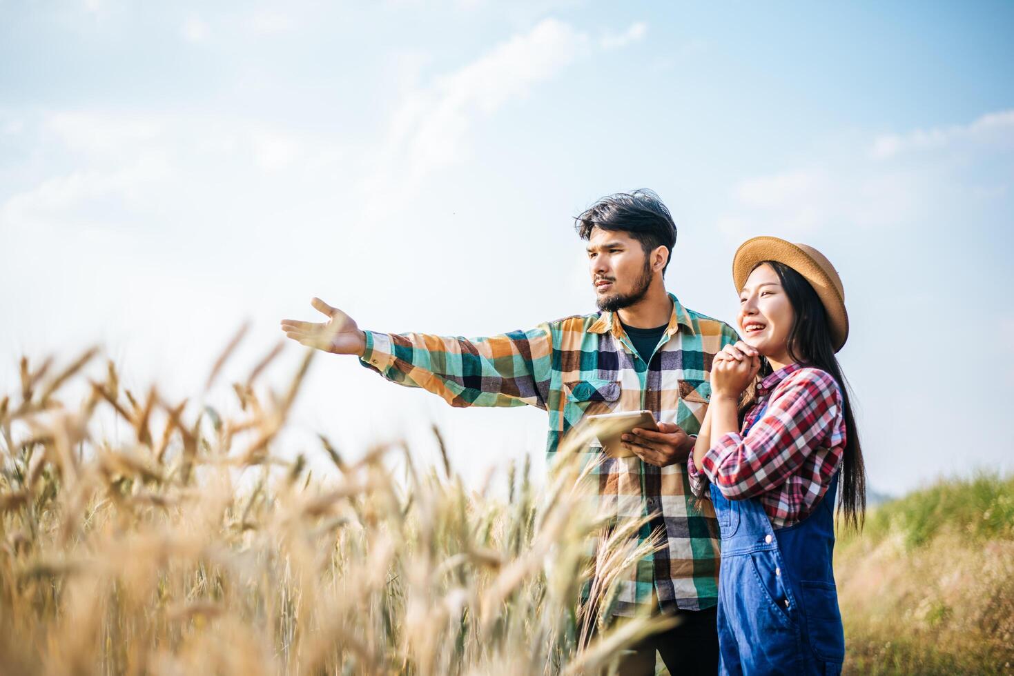 Pareja de agricultores mirando el campo de cebada en la temporada de cosecha foto