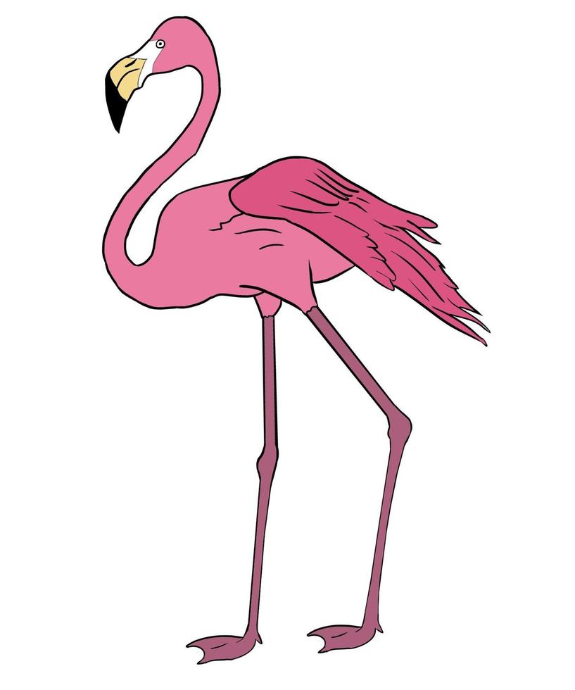 Hand-drawn pink flamingo bird vector illustration