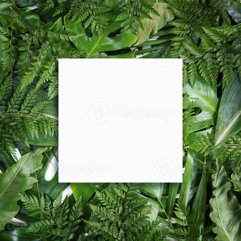 Fluorescent summer background, abstract summer frame,banner photo