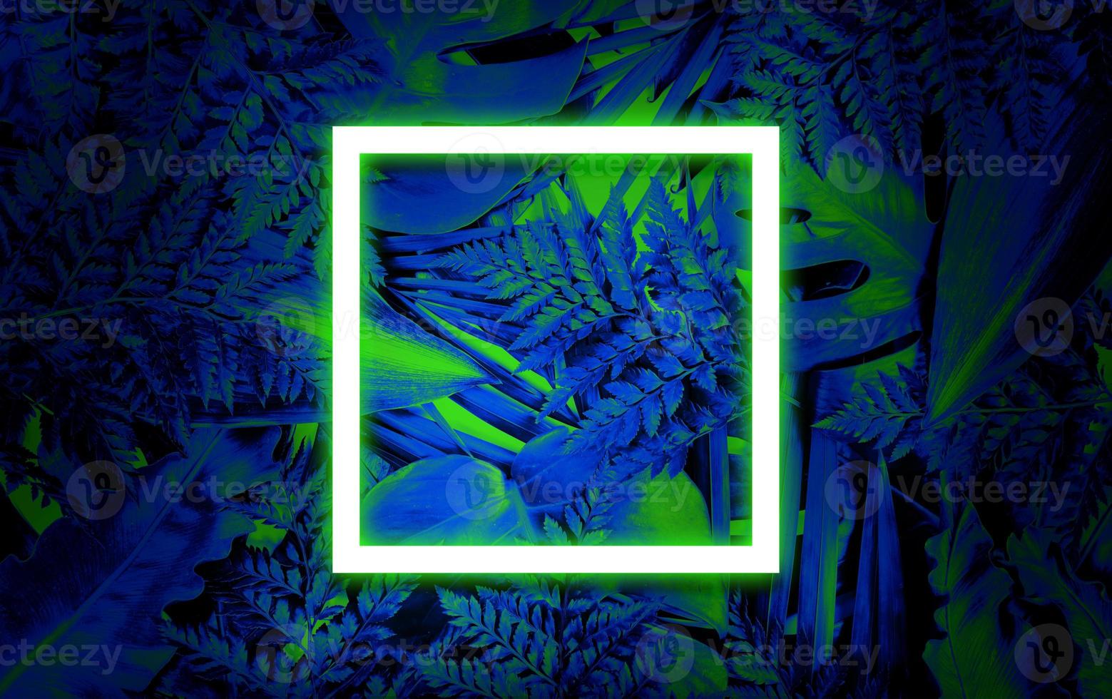 Fluorescent summer background, abstract summer frame,banner photo