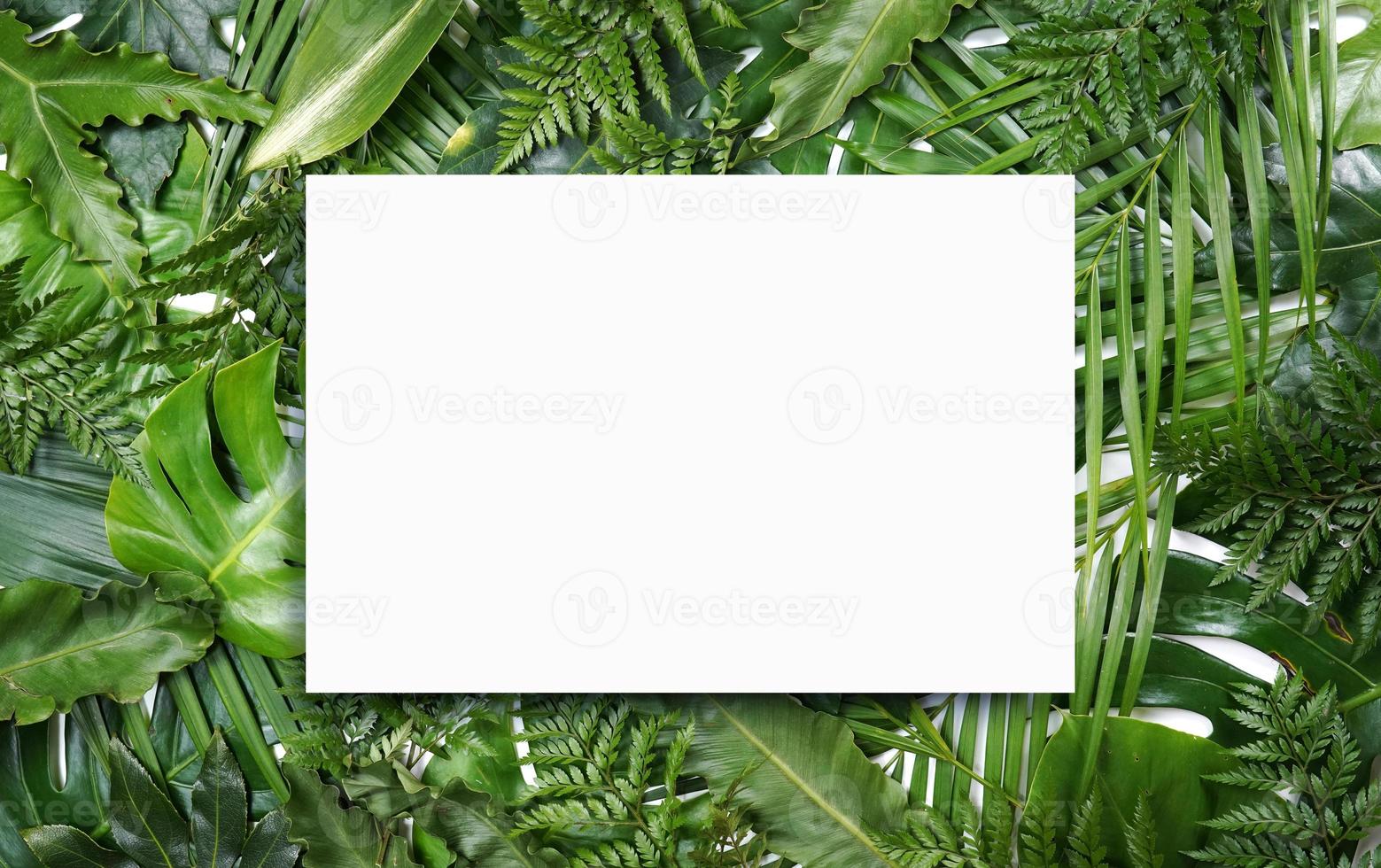 Fluorescent summer background, abstract summer frame,banner photo