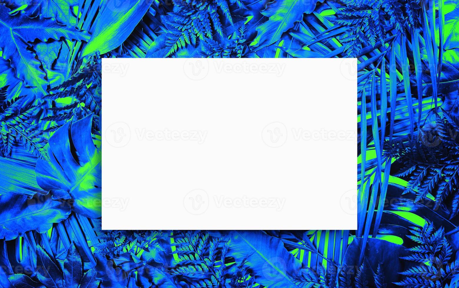 Fluorescent summer background, abstract summer frame,banner photo