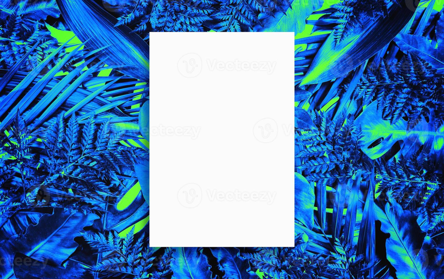 Fluorescent summer background, abstract summer frame,banner photo
