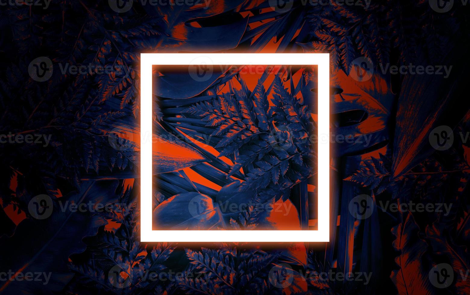 Fluorescent summer background, abstract summer frame,banner photo