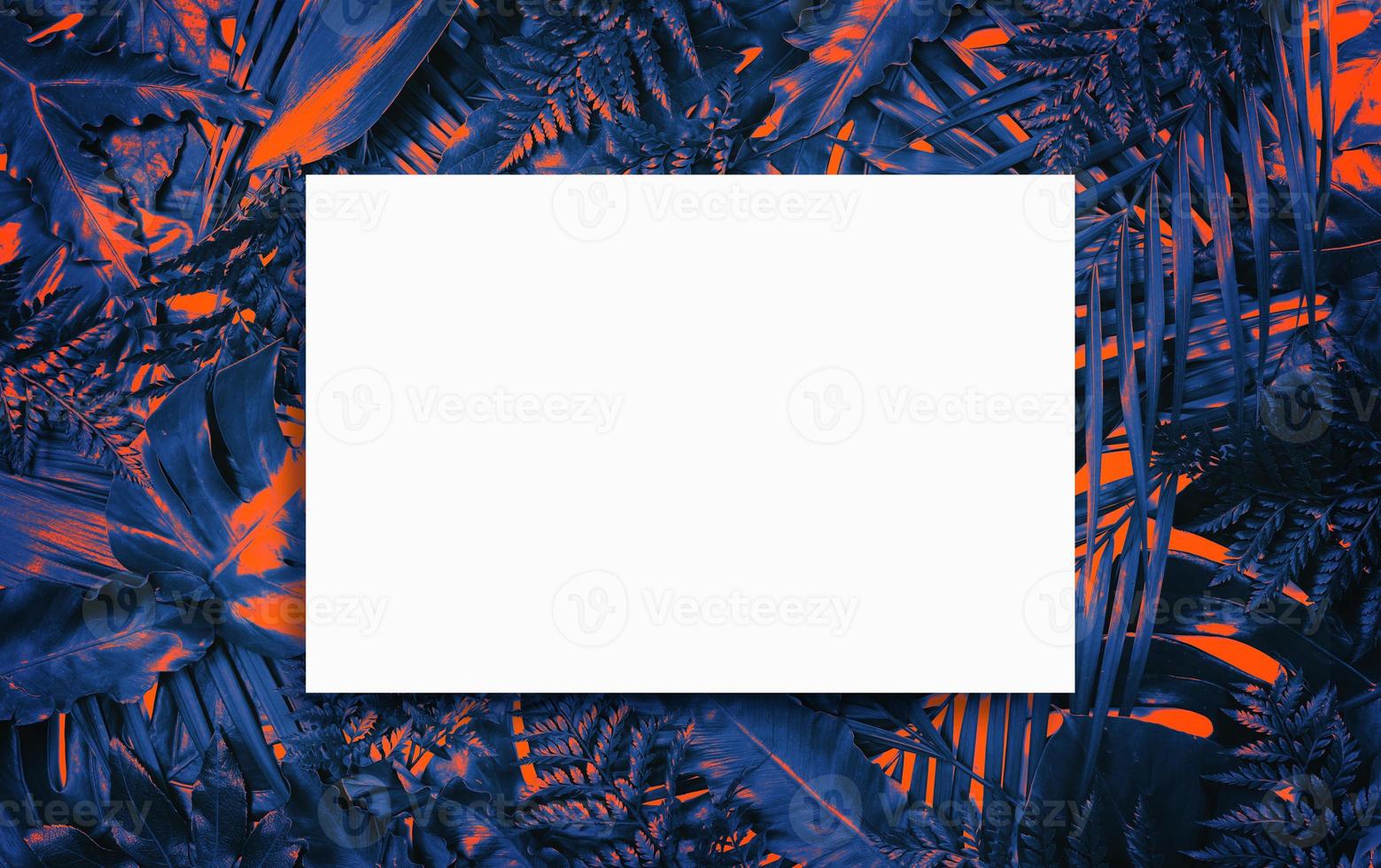 Fluorescent summer background, abstract summer frame,banner photo