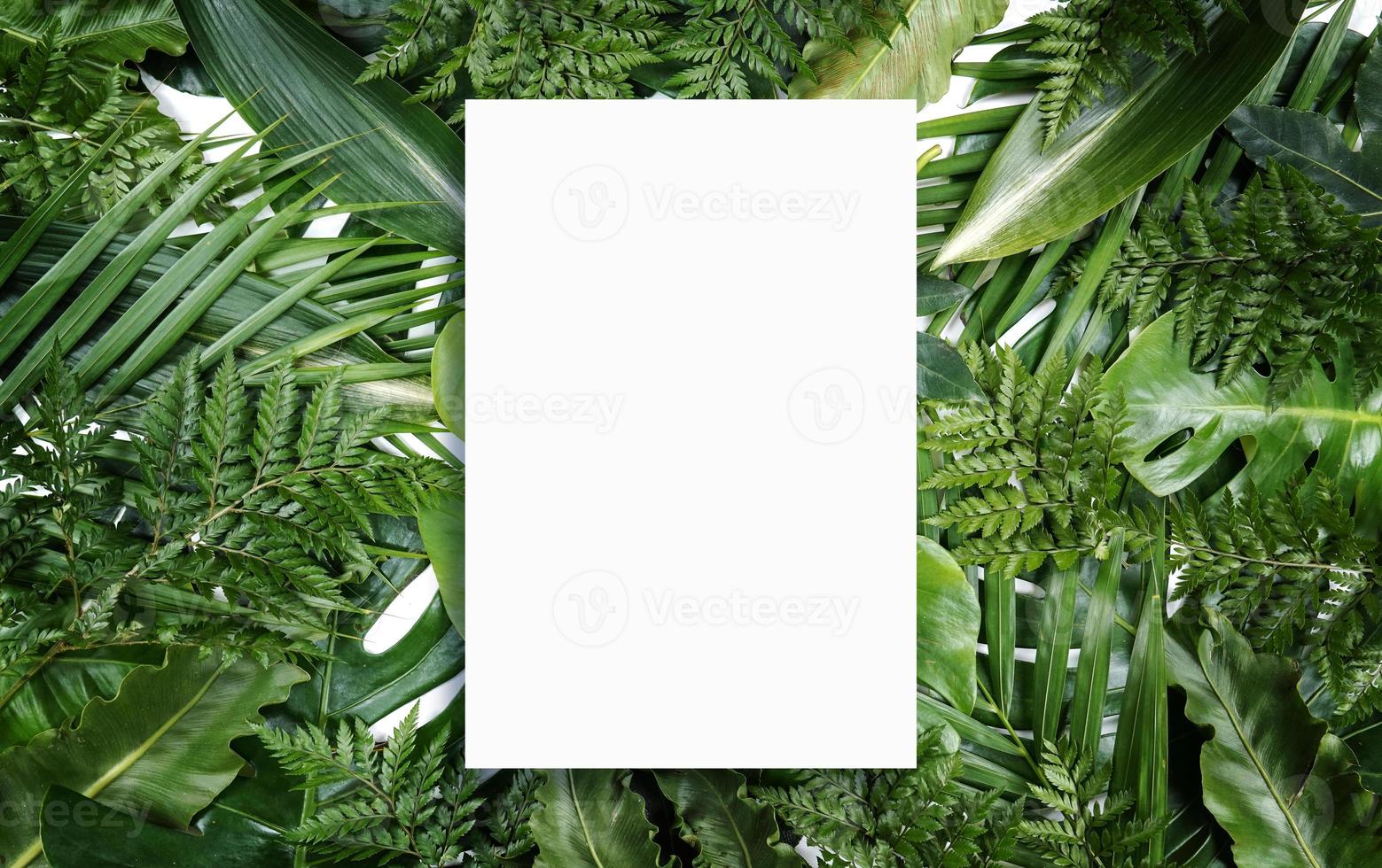 Fluorescent summer background, abstract summer frame,banner photo