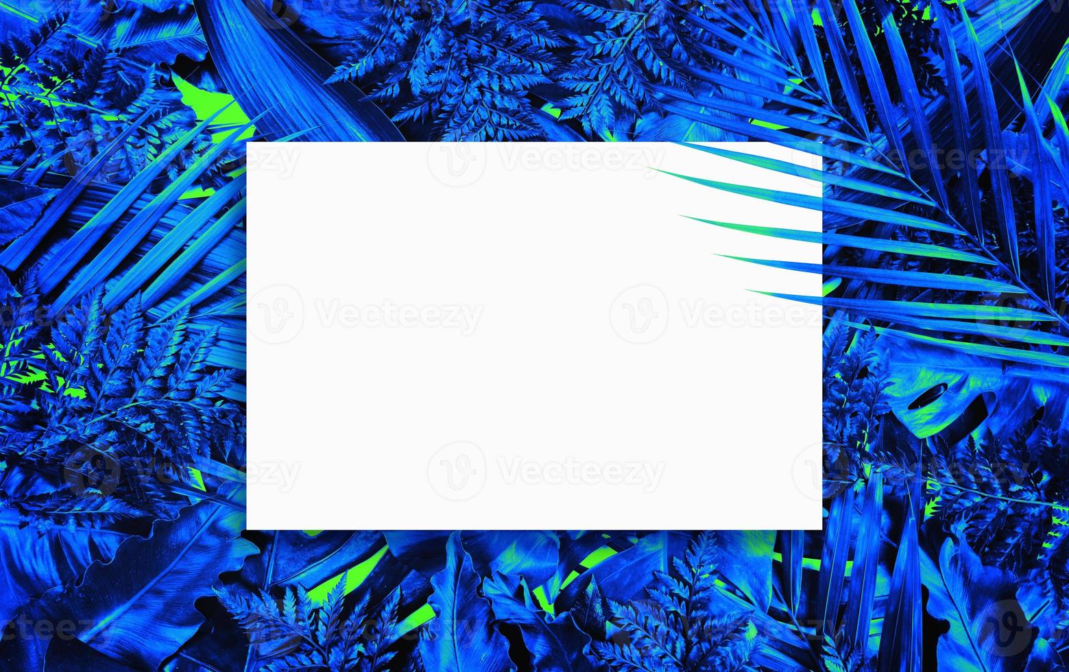 Fluorescent summer background, abstract summer frame,banner photo