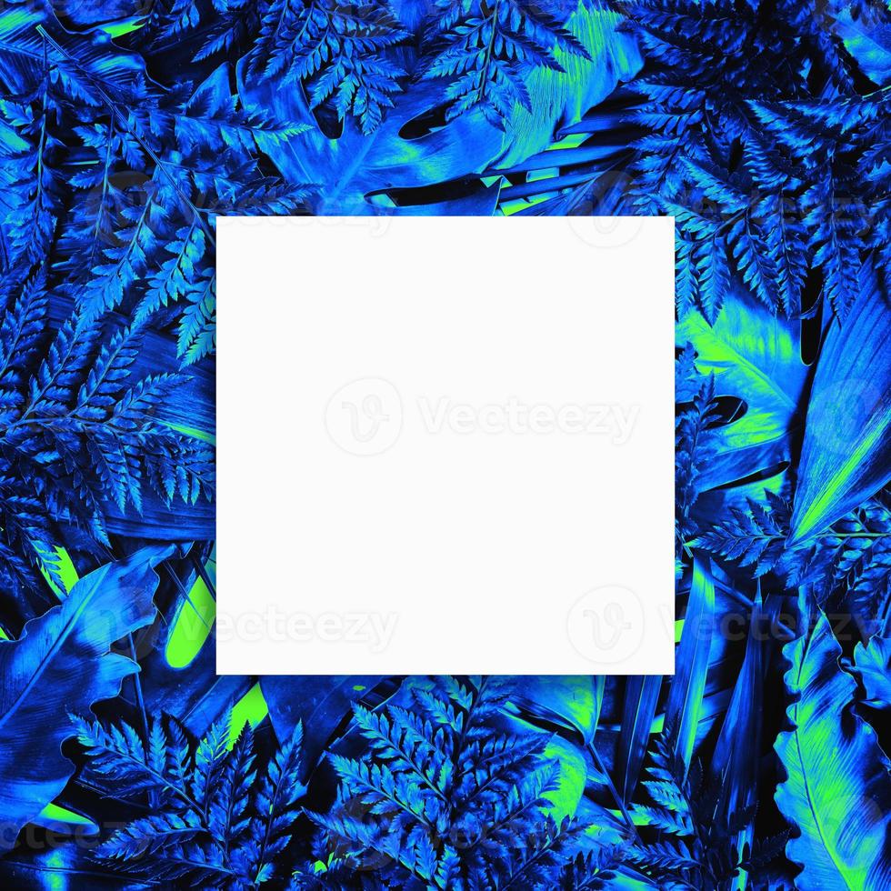 Fluorescent summer background, abstract summer frame,banner photo