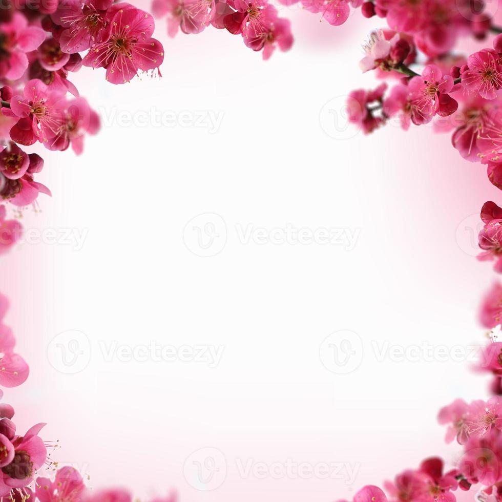 Beautiful spring flowers frame background, Season theme, hello spring photo