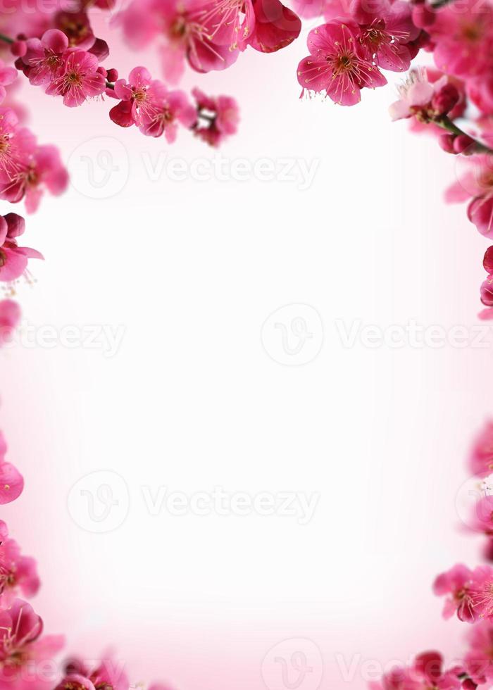 Beautiful spring flowers frame background, Season theme, hello spring  3186592 Stock Photo at Vecteezy