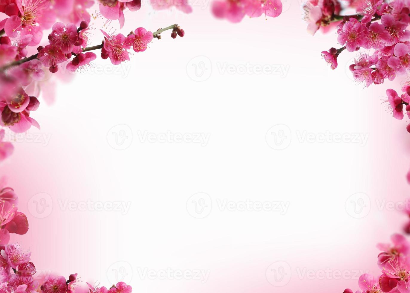 Beautiful spring flowers frame background, Season theme, hello spring photo