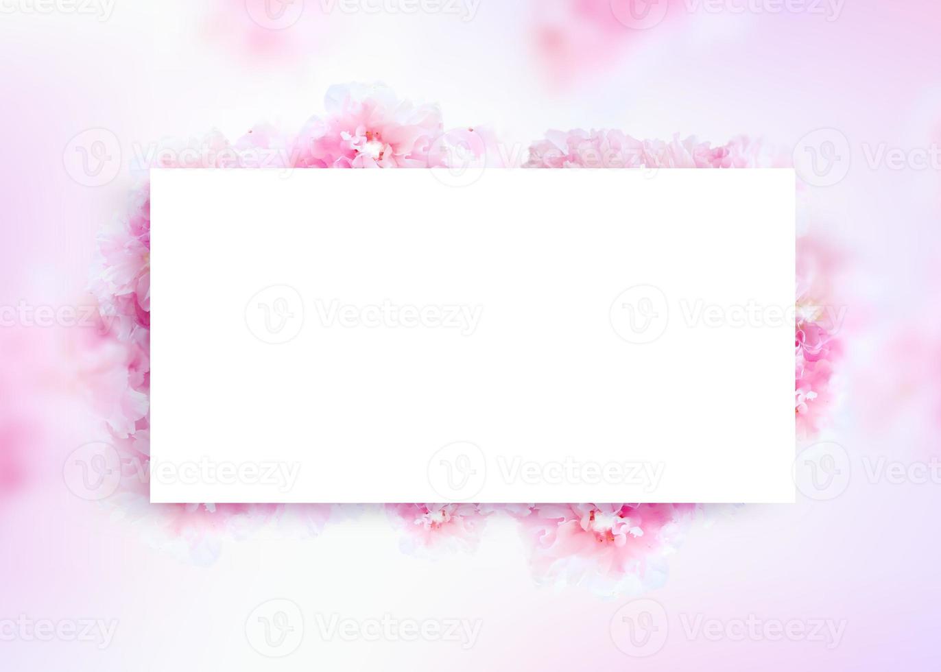 Beautiful spring flowers frame background, Season theme, hello spring photo