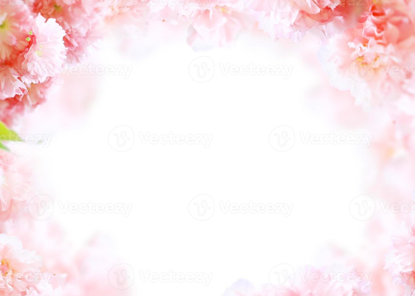 Beautiful spring flowers frame background, Season theme, hello spring photo