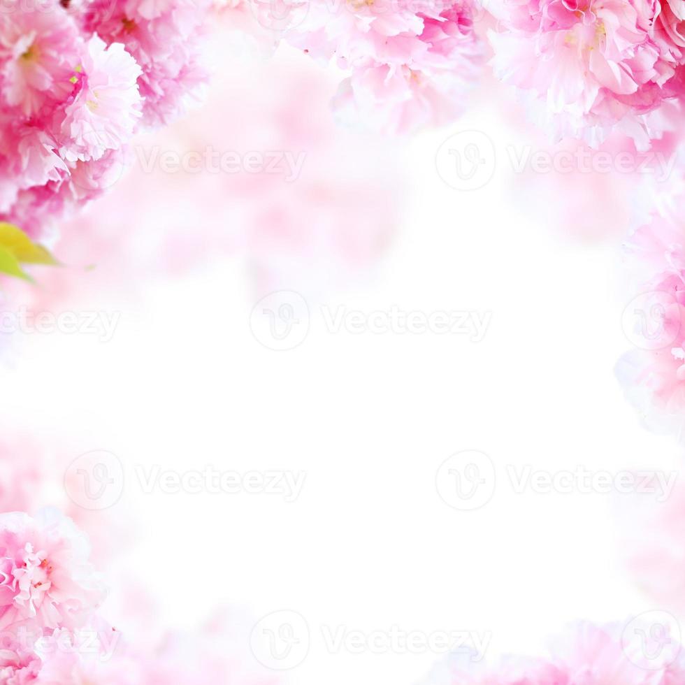 Hermoso fondo de marco de flores de primavera, tema de temporada, hola primavera foto