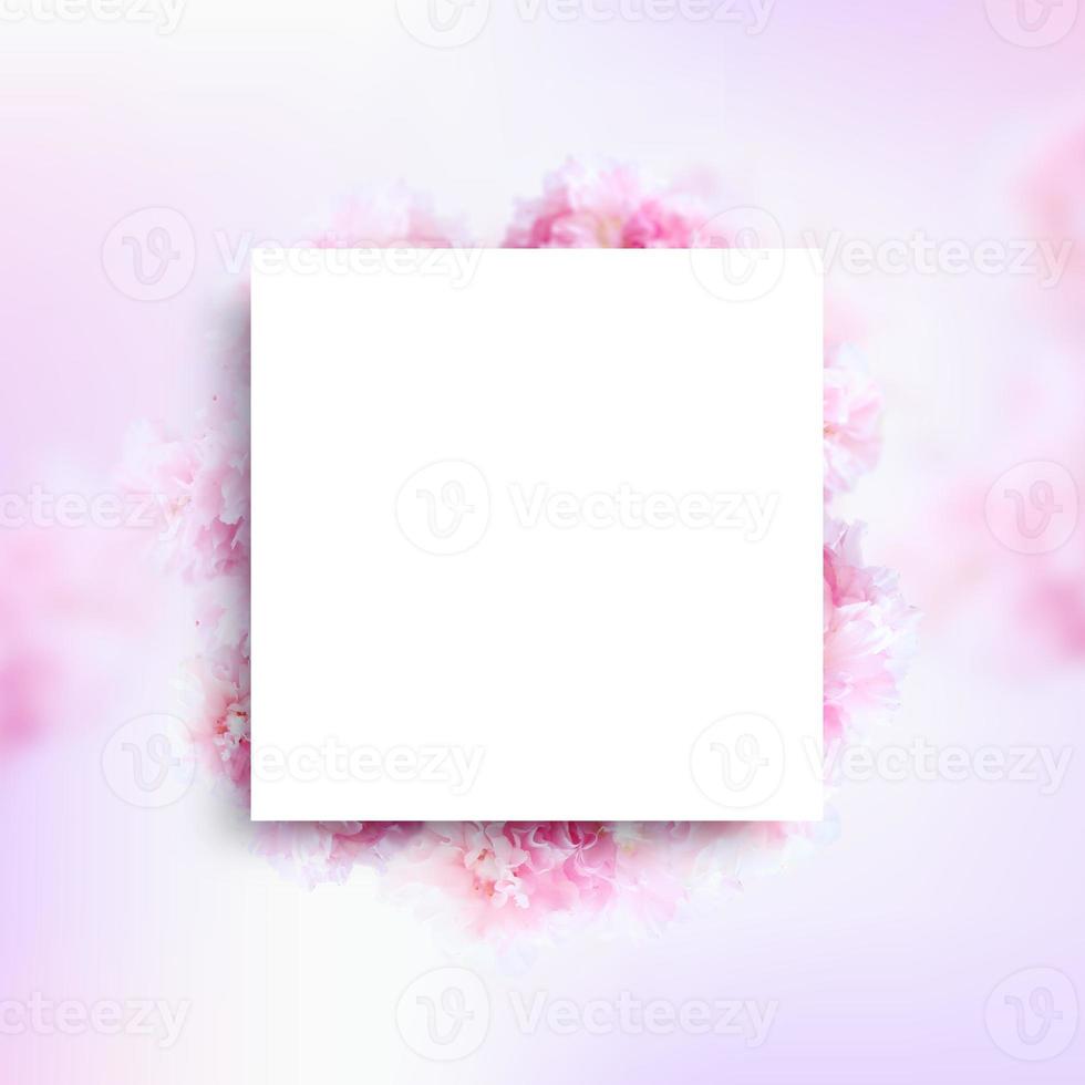 Beautiful spring flowers frame background, Season theme, hello spring photo