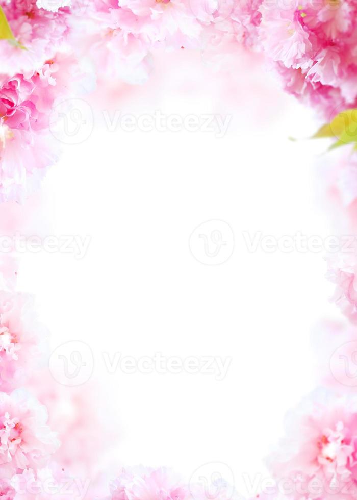 Beautiful spring flowers frame background, Season theme, hello spring  3186600 Stock Photo at Vecteezy