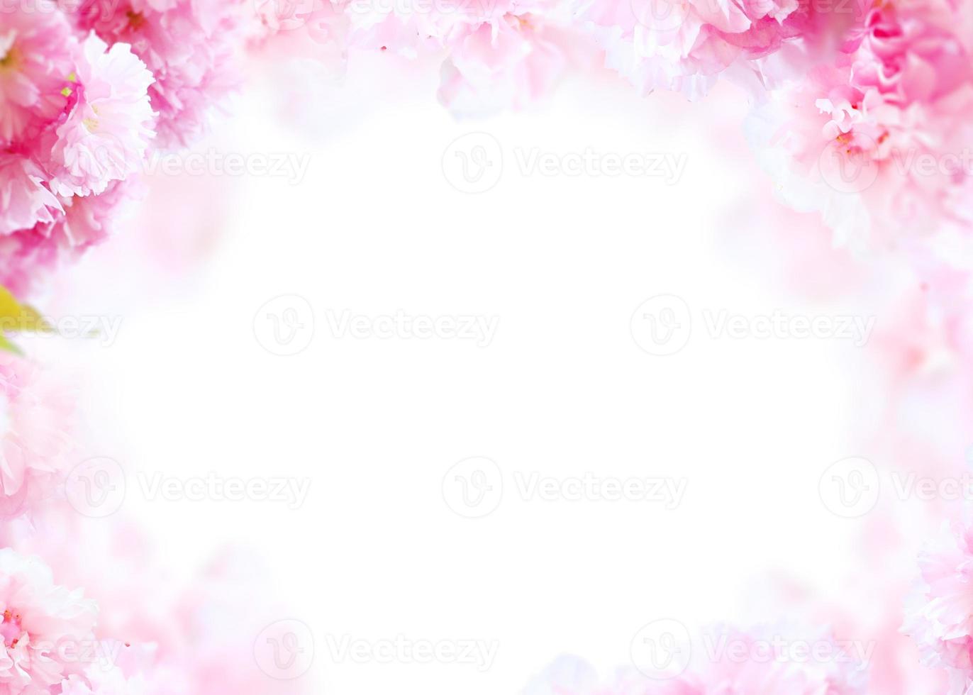 Beautiful spring flowers frame background, Season theme, hello spring photo