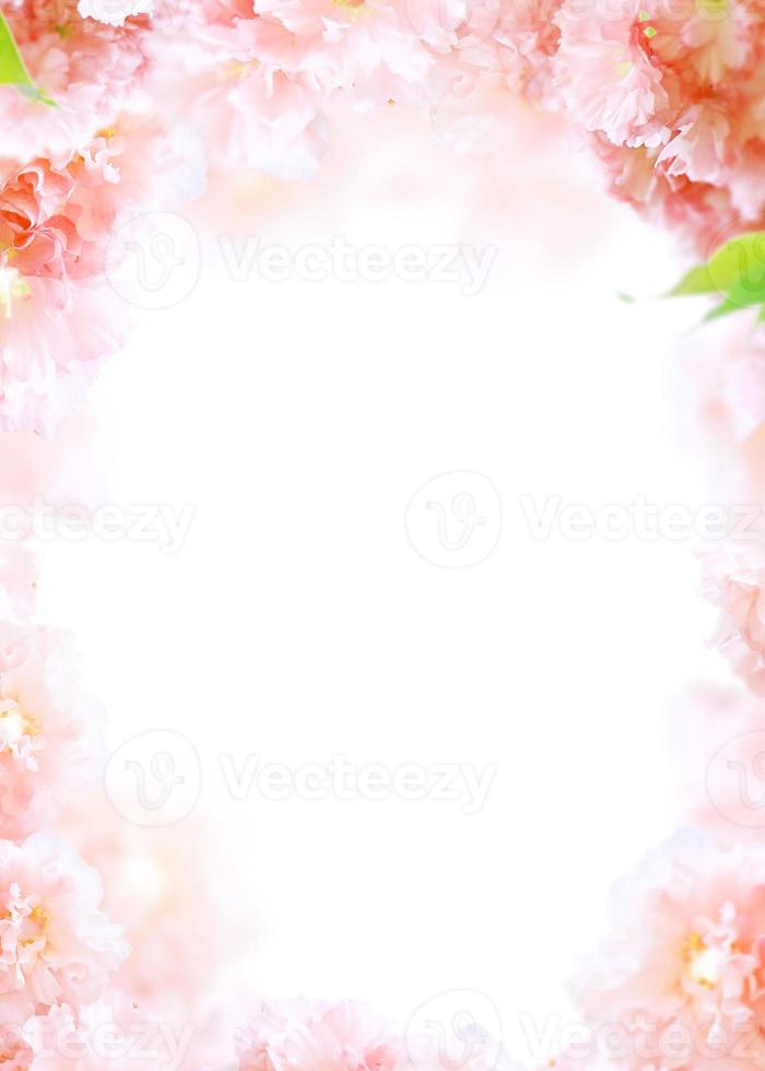 Beautiful spring flowers frame background, Season theme, hello spring photo