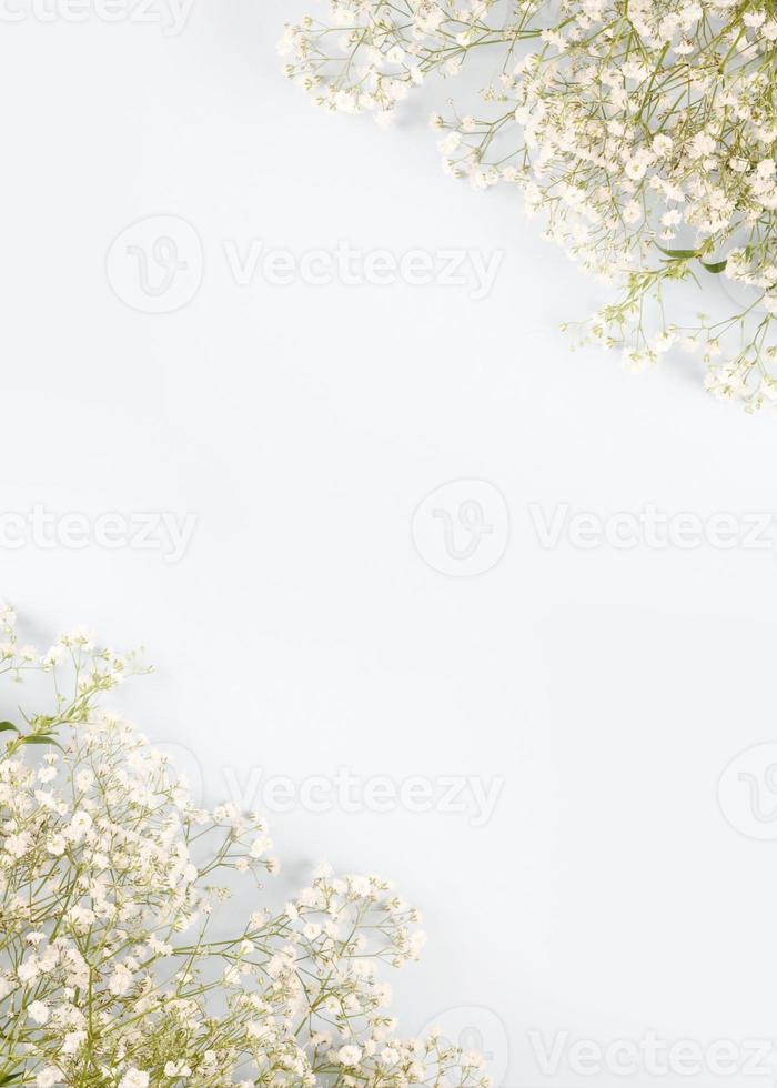 Beautiful spring flowers frame background, Season theme, hello spring photo