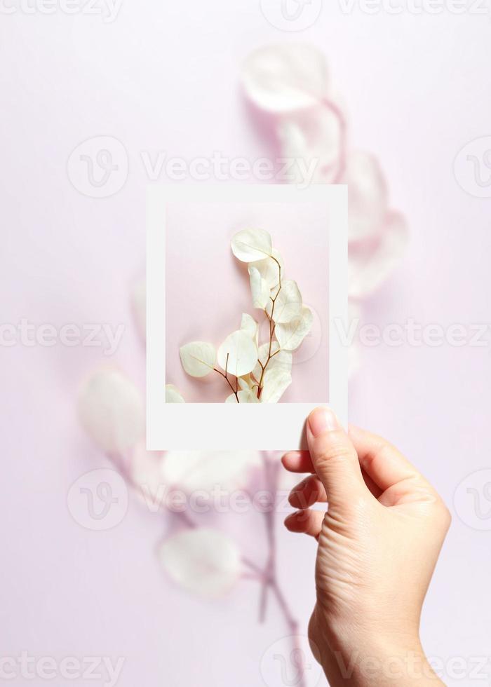 Autumn background, autumn frame, object photo