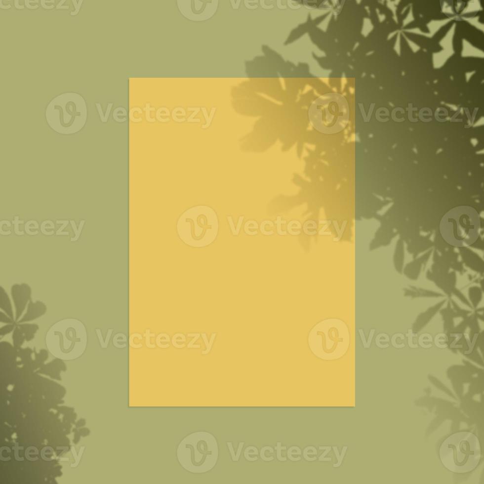 Summer frame and free space for text, summer background photo
