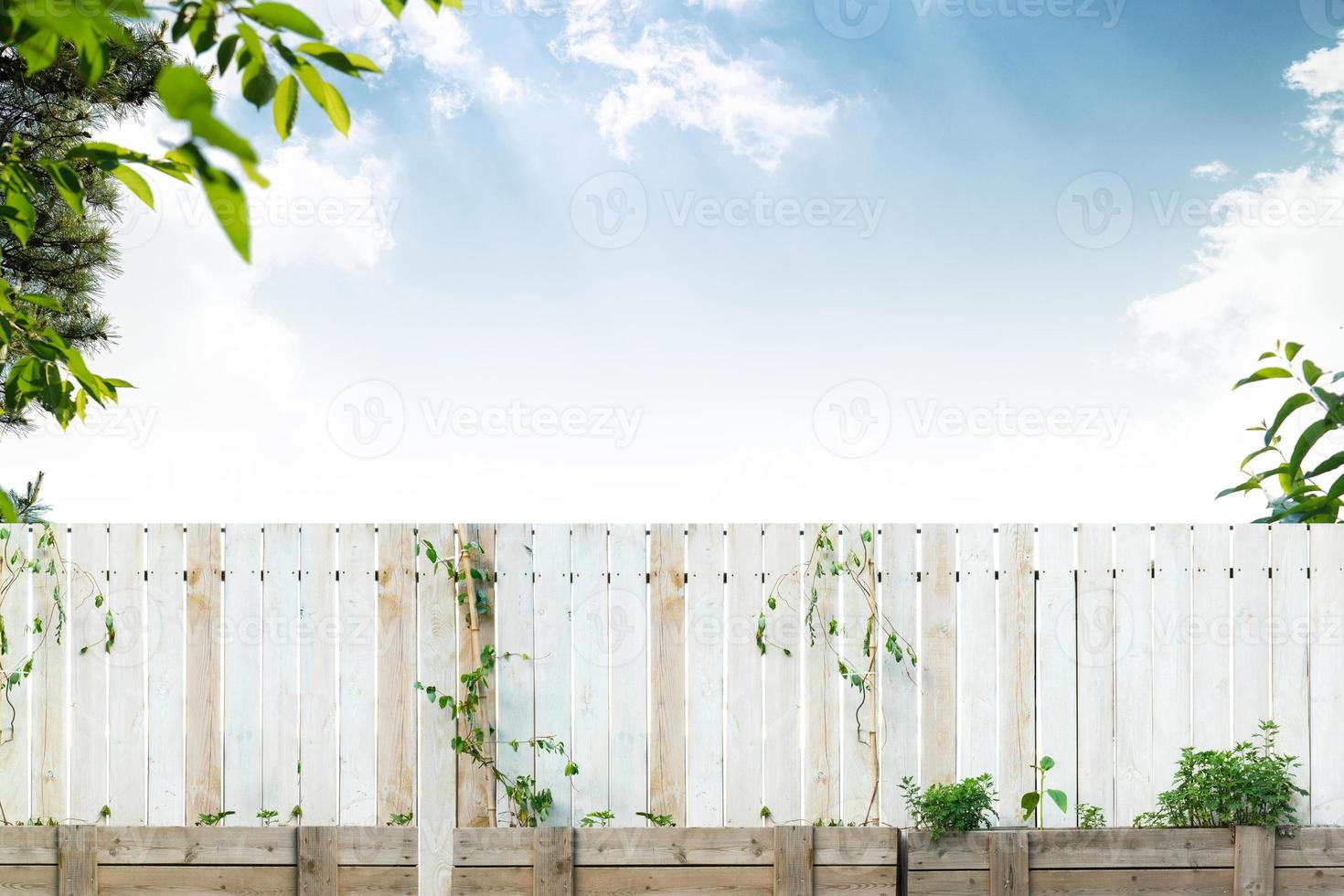 Summer frame and free space for text, summer background photo