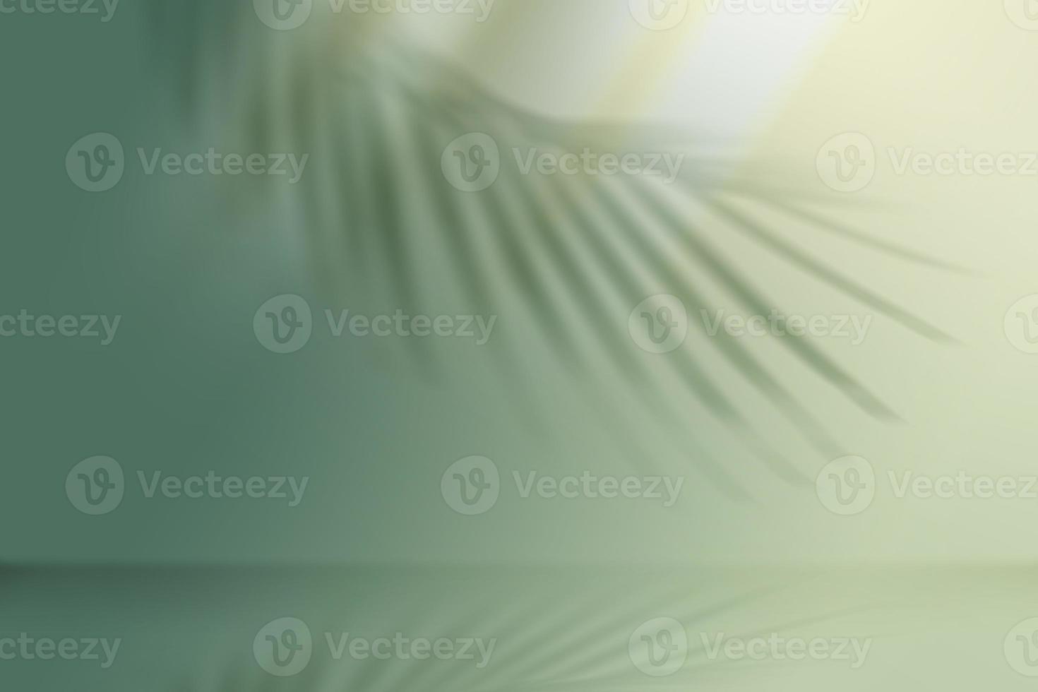 Summer frame and free space for text, summer background photo