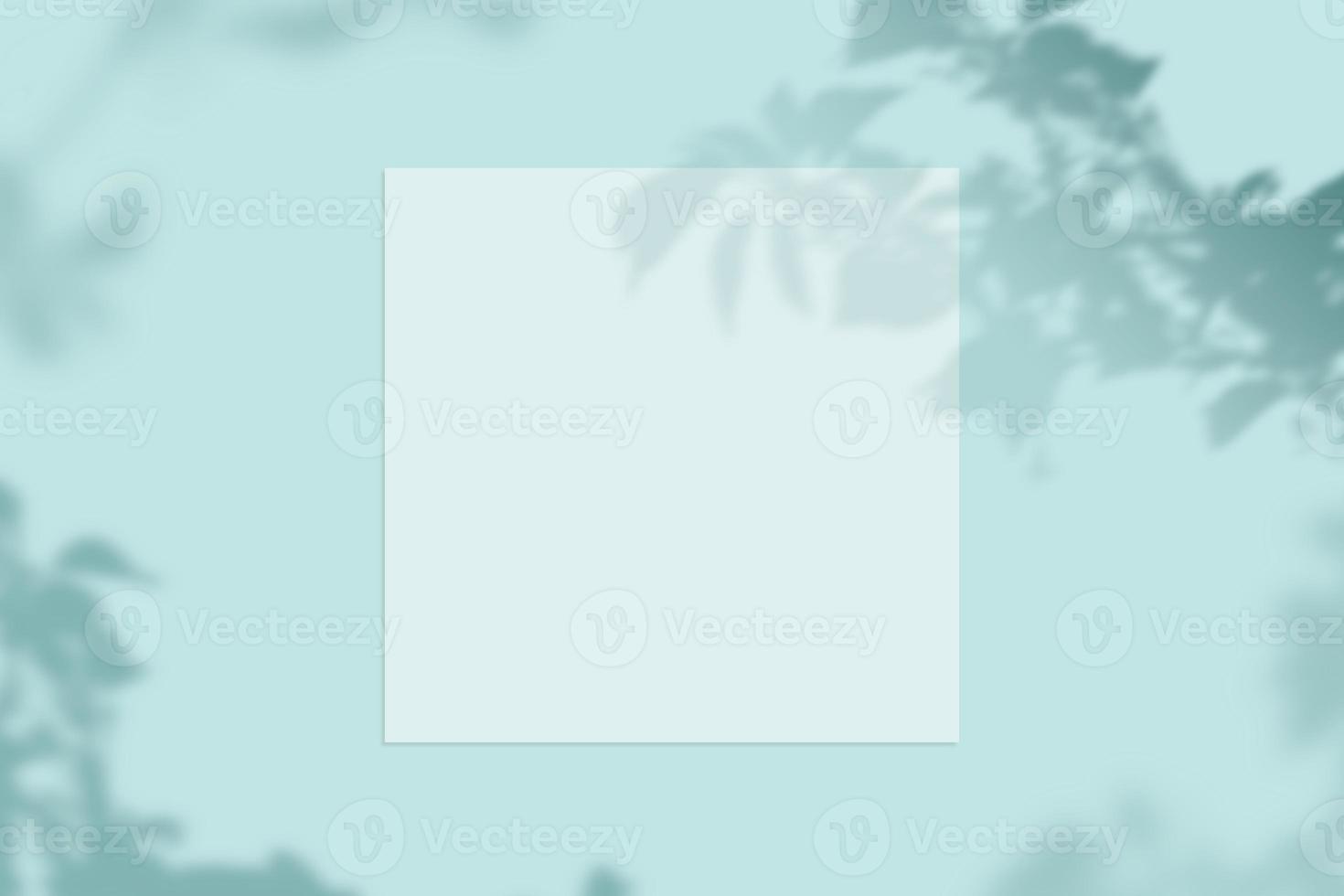 Summer frame and free space for text, summer background photo