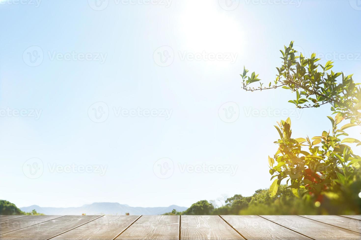 Wooden table top with the nature landscape photo