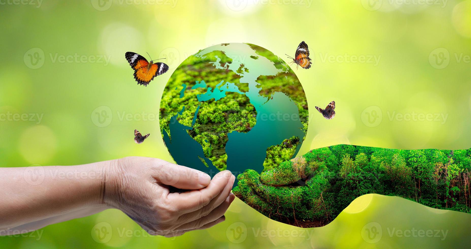 Concept Save the world save environment The world is in the grass photo