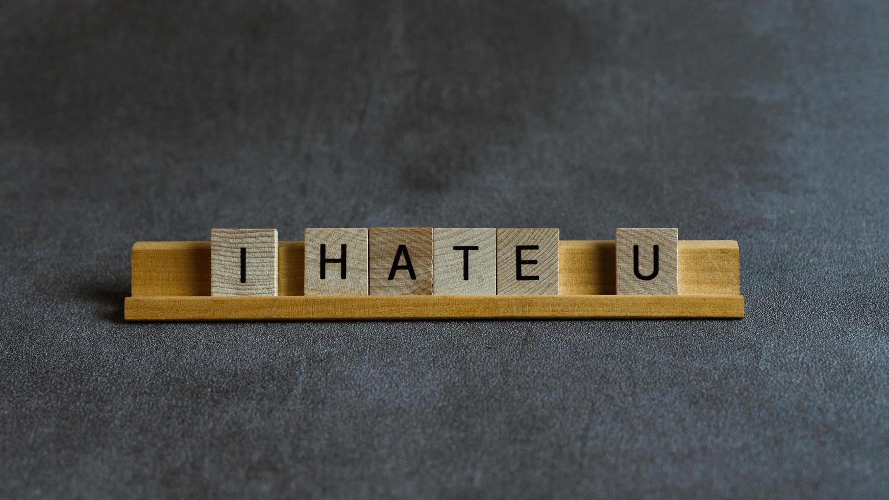 I hate you wooden block words photo