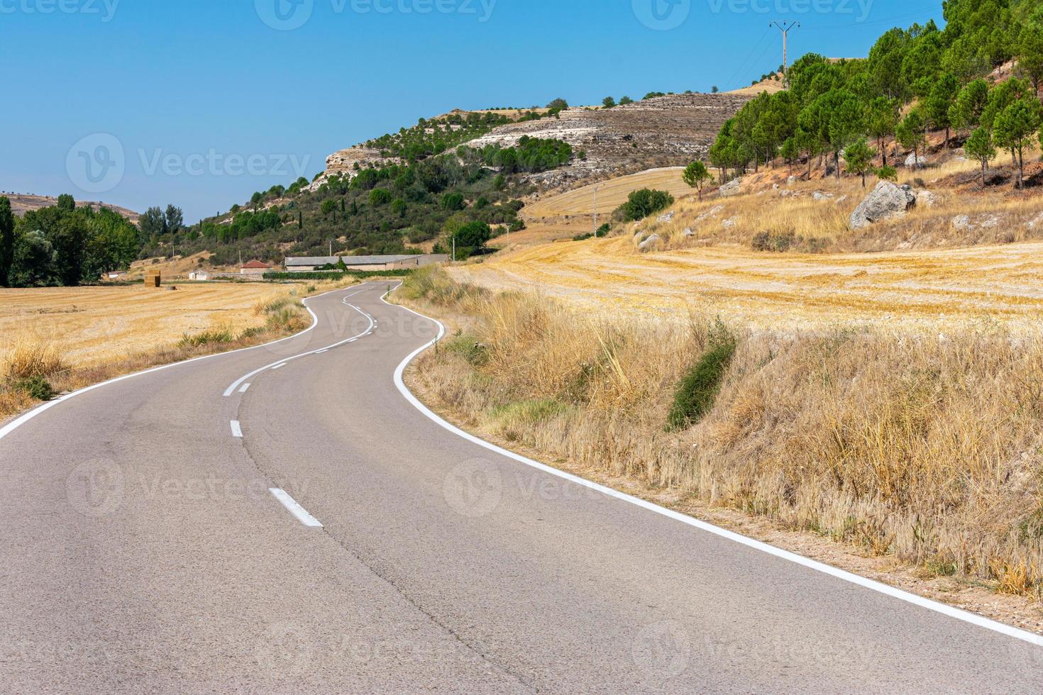 Carretera vacía con curvas que cruzan campos de cultivos. foto