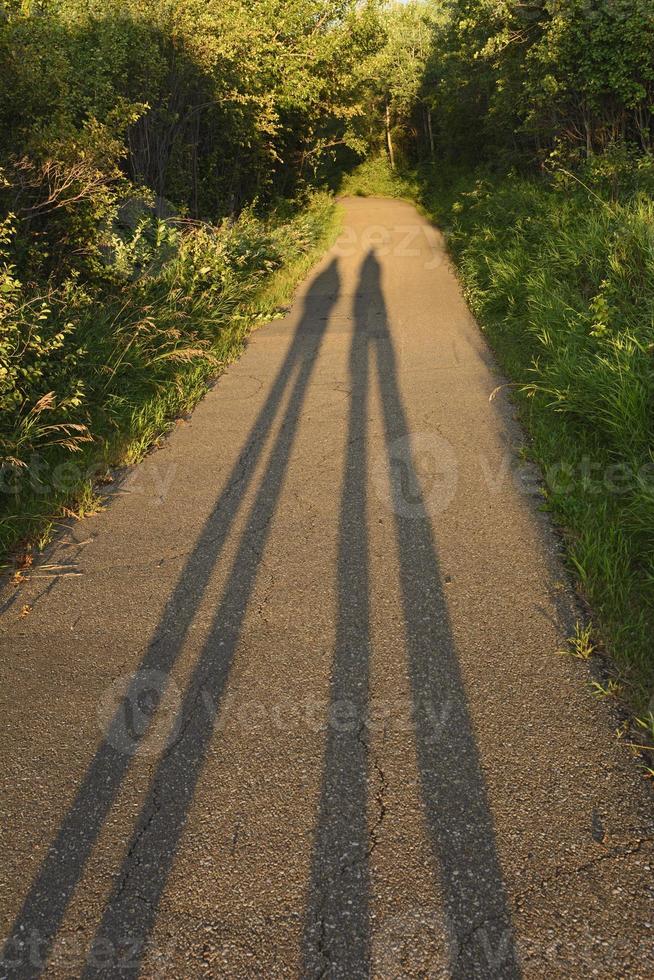 sombras al atardecer foto