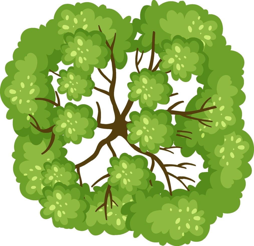 Aerial view with a tree isolated on white background vector