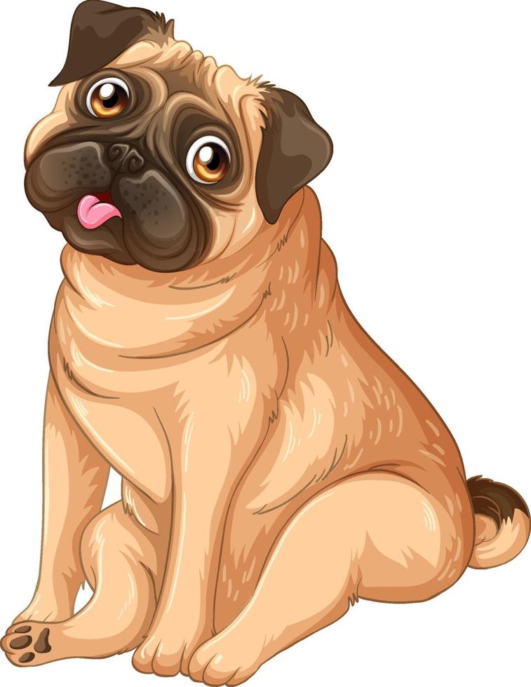 caricatura, cachorro, pug, blanco, plano de fondo vector