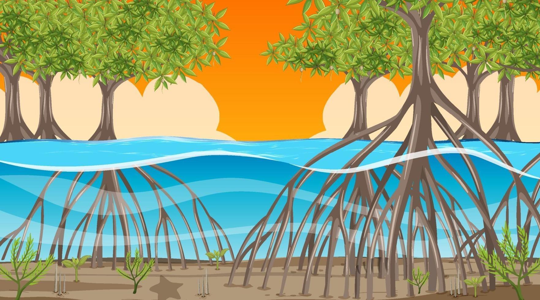 Escena de la naturaleza con bosque de manglares al atardecer en estilo de dibujos animados vector