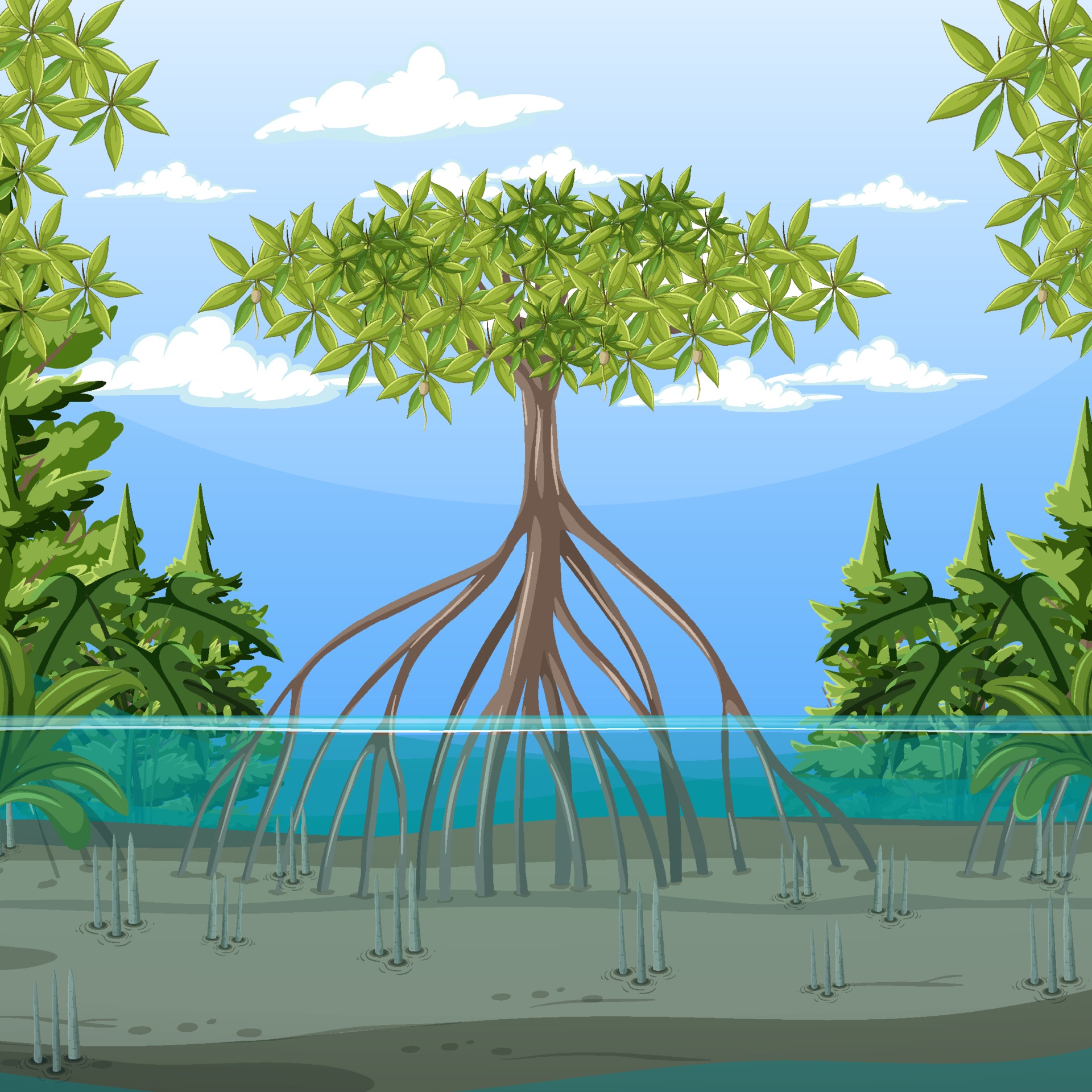 Nature scene with mangrove forest in cartoon style 3188398 Vector Art at Vecteezy Nature scene with mangrove forest in cartoon style 3188398 Vector Art at Vecteezy