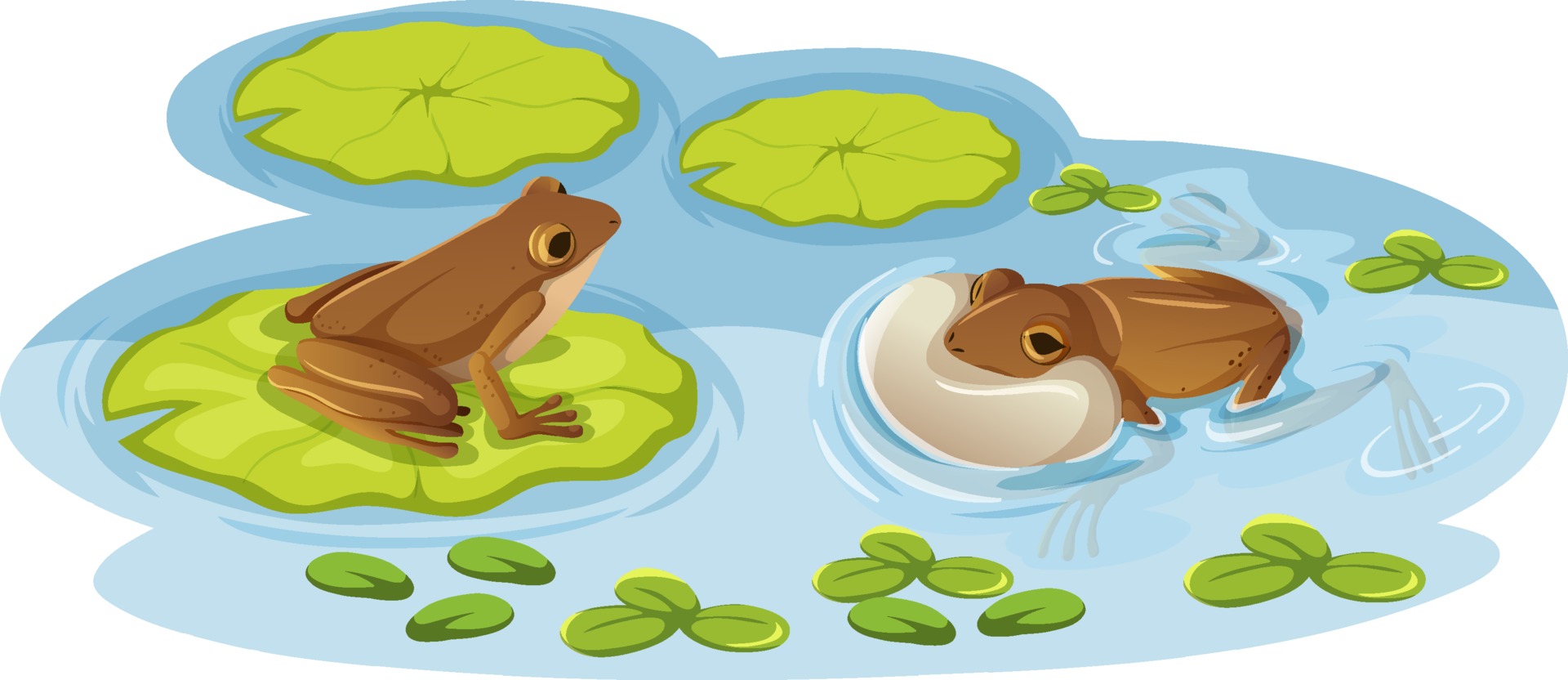 Two frogs on lotus leaves in the water 3188408 Vector Art at Vecteezy