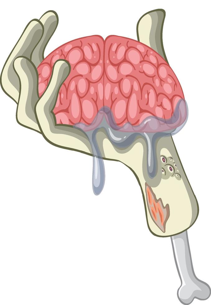 Human brain in zombie hand vector