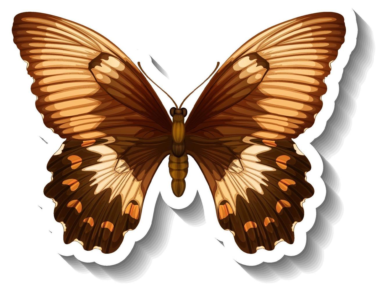 A sticker template with butterfly or moth isolated vector