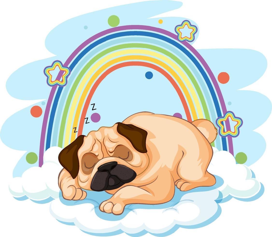 Cute dog on the cloud with rainbow vector