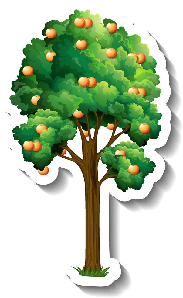 Orange tree sticker on white background vector