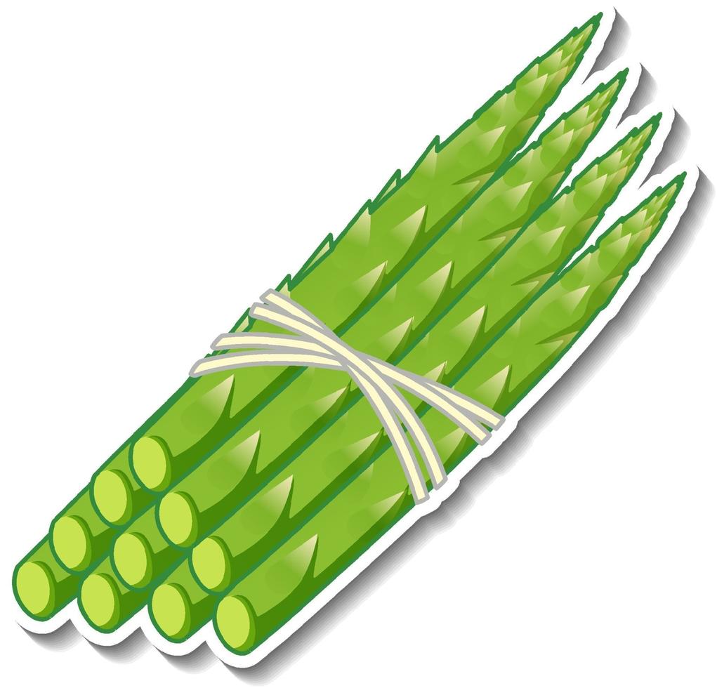 Asparagus sticker on white background vector