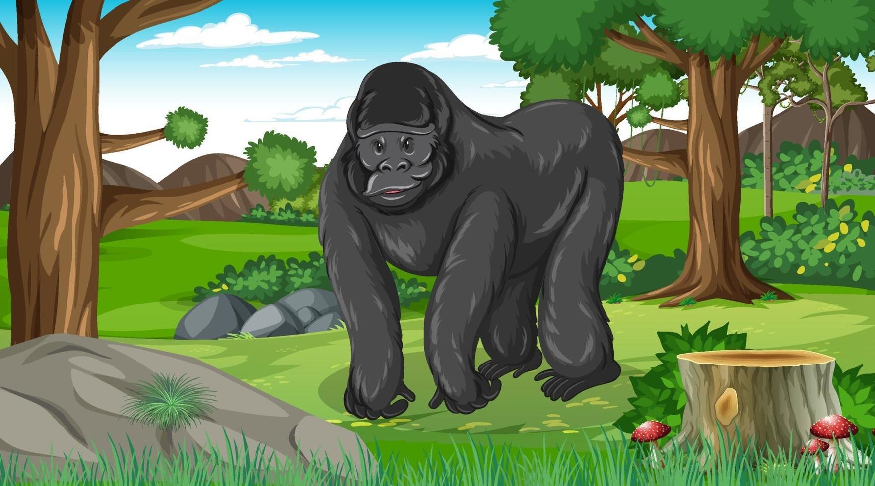 Gorilla in forest or rainforest scene with many trees vector