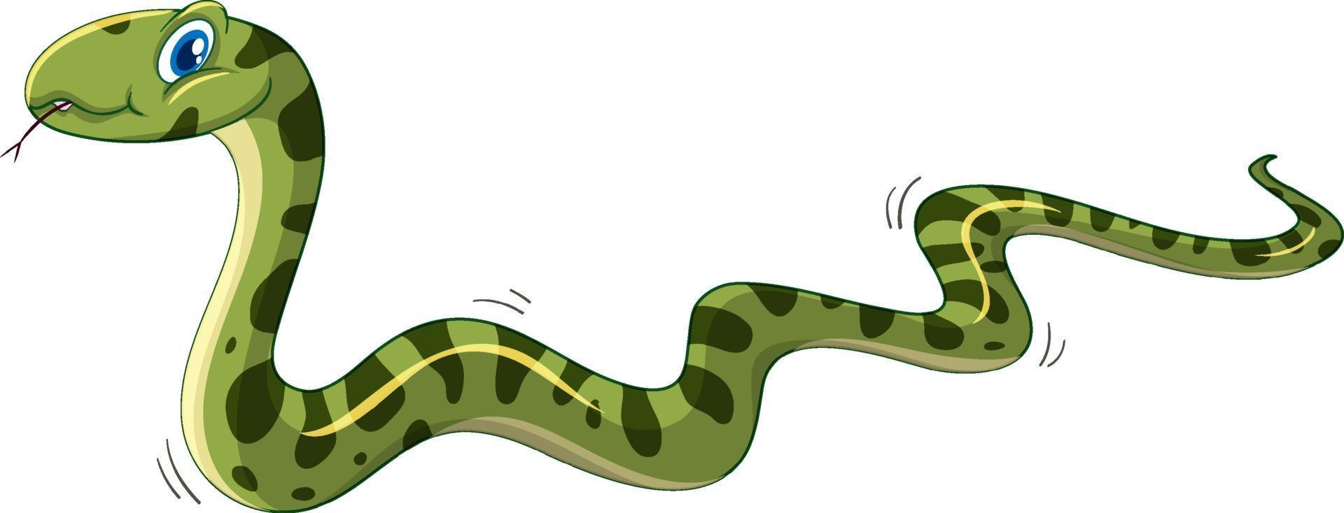 Personaje de dibujos animados de serpiente verde aislado sobre fondo blanco. vector