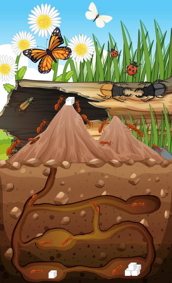 Underground animal burrow with ant family vector