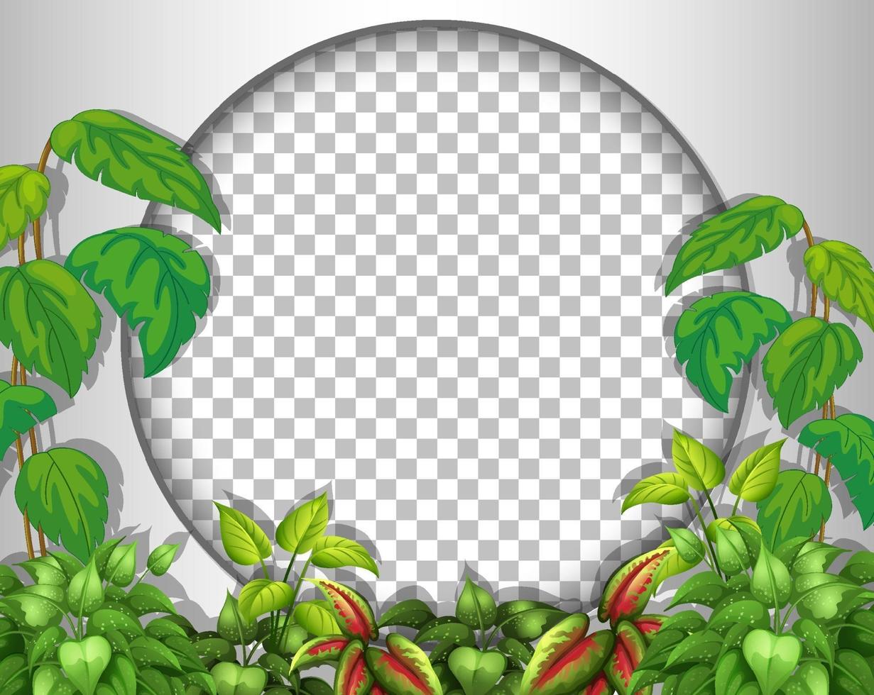 Round frame with tropical leaves template vector